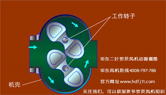 羅茨風(fēng)機(jī)的動畫截圖.jpg