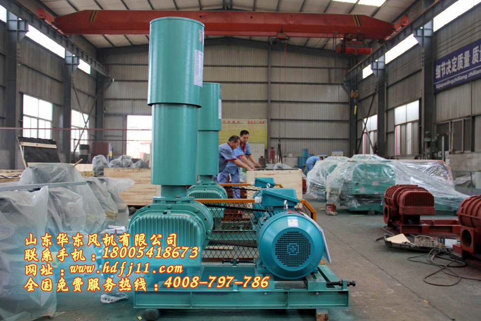 曝氣羅茨風(fēng)機