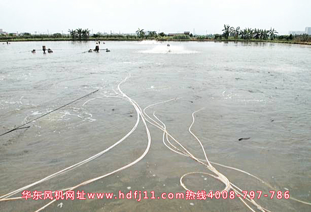 羅茨增氧機水產.jpg